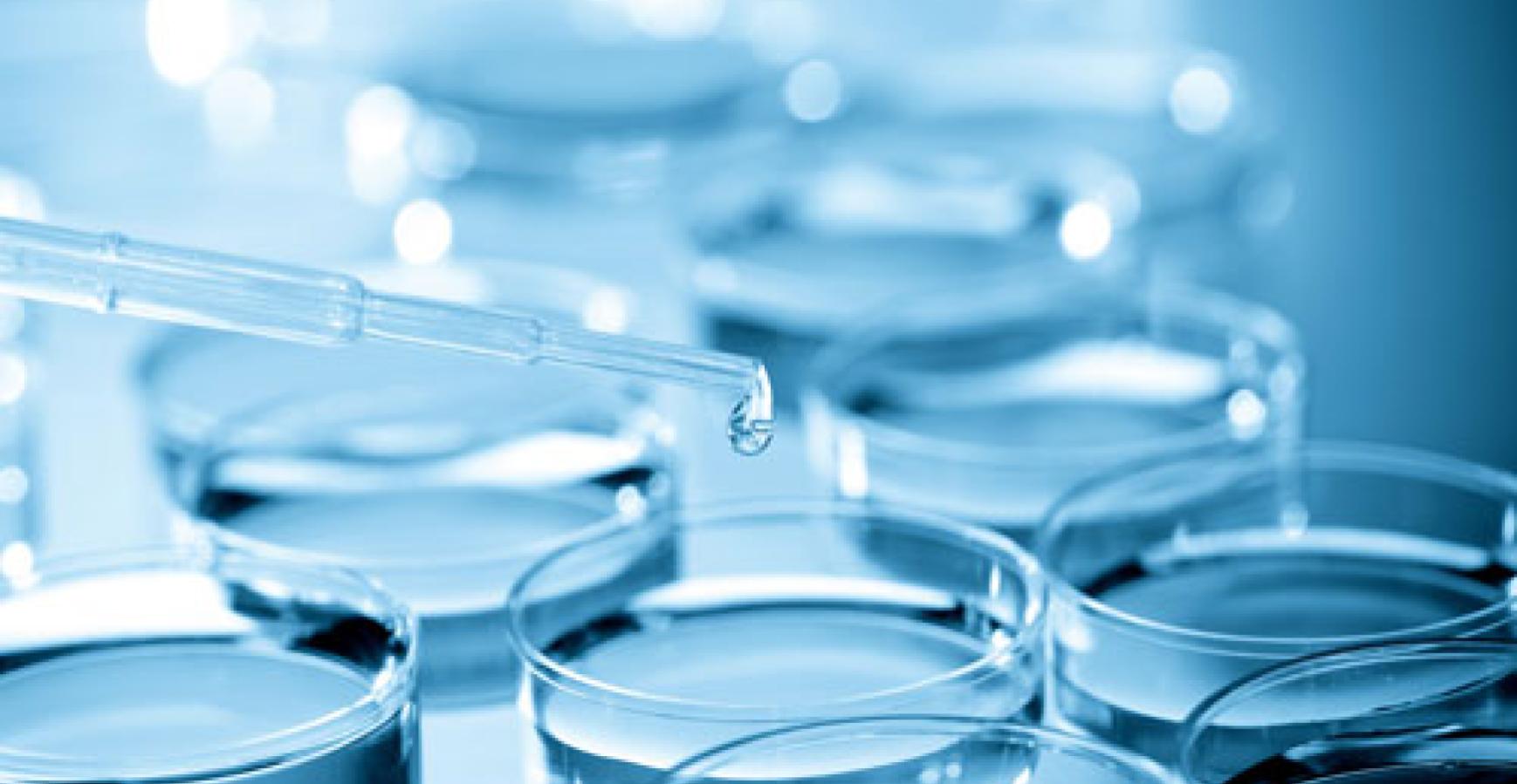 rxsol Biocide