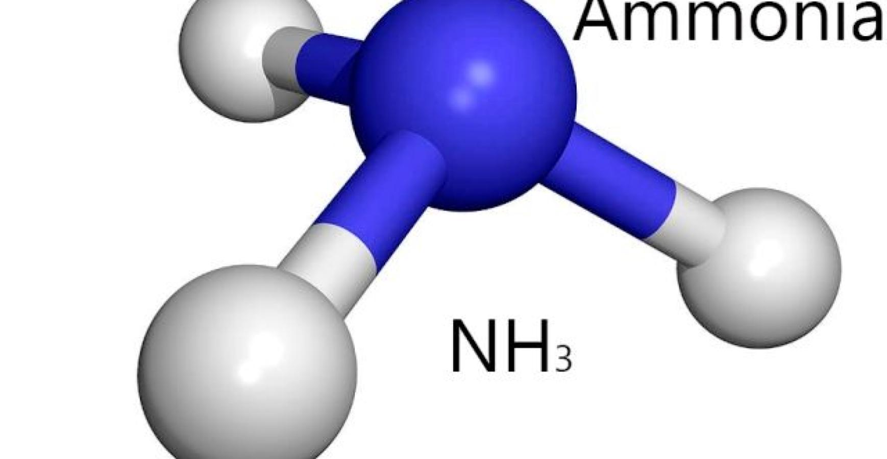 Rxsol Ammonia