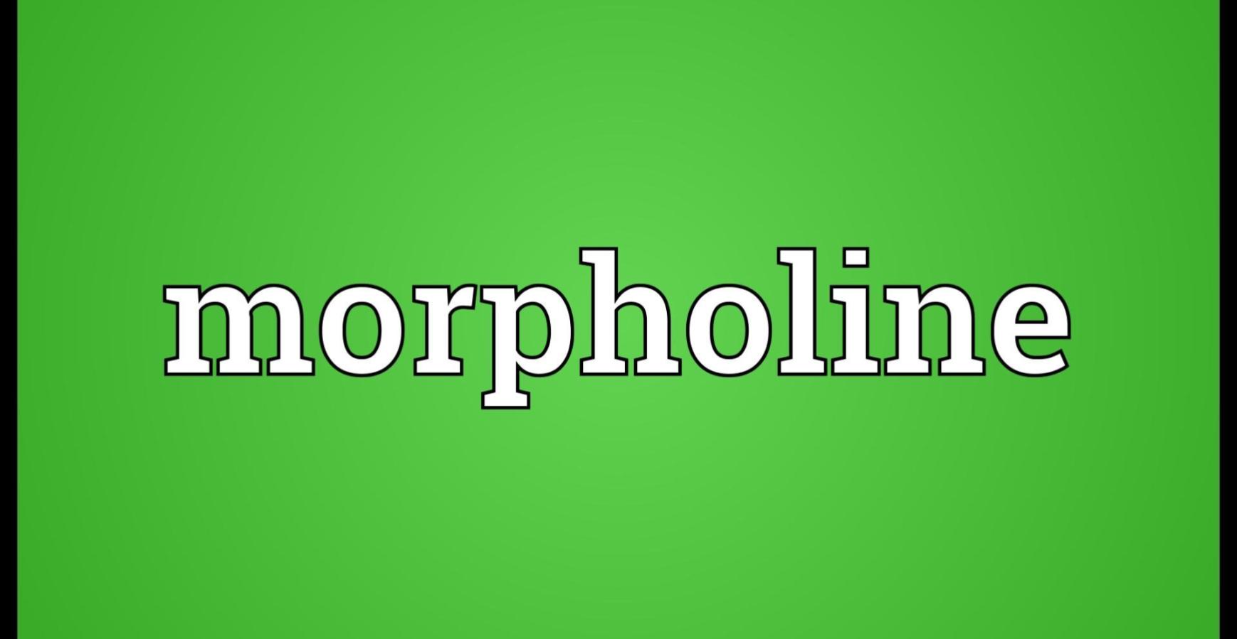 Rxsol Morpholine